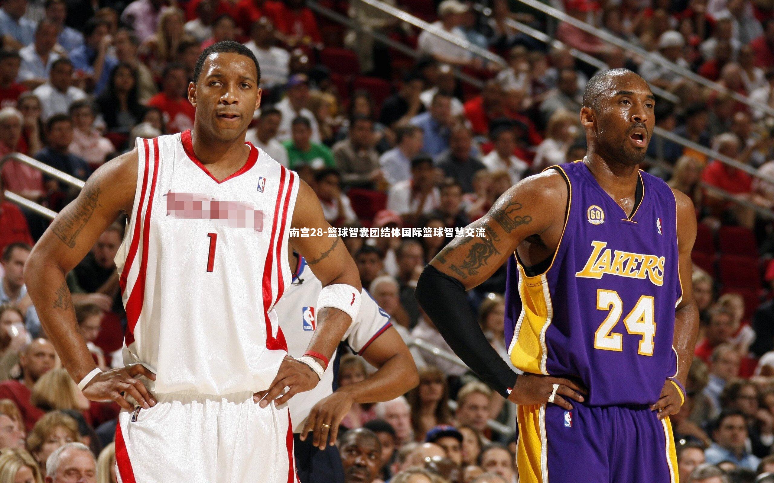篮球智囊团结体国际篮球智慧交流