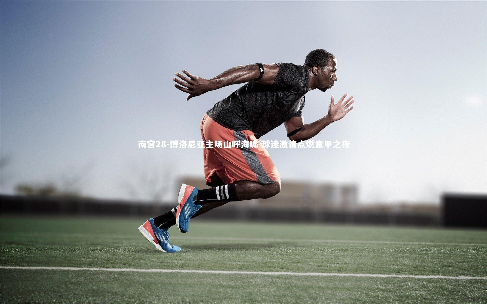 博洛尼亚主场山呼海啸 球迷激情点燃意甲之夜